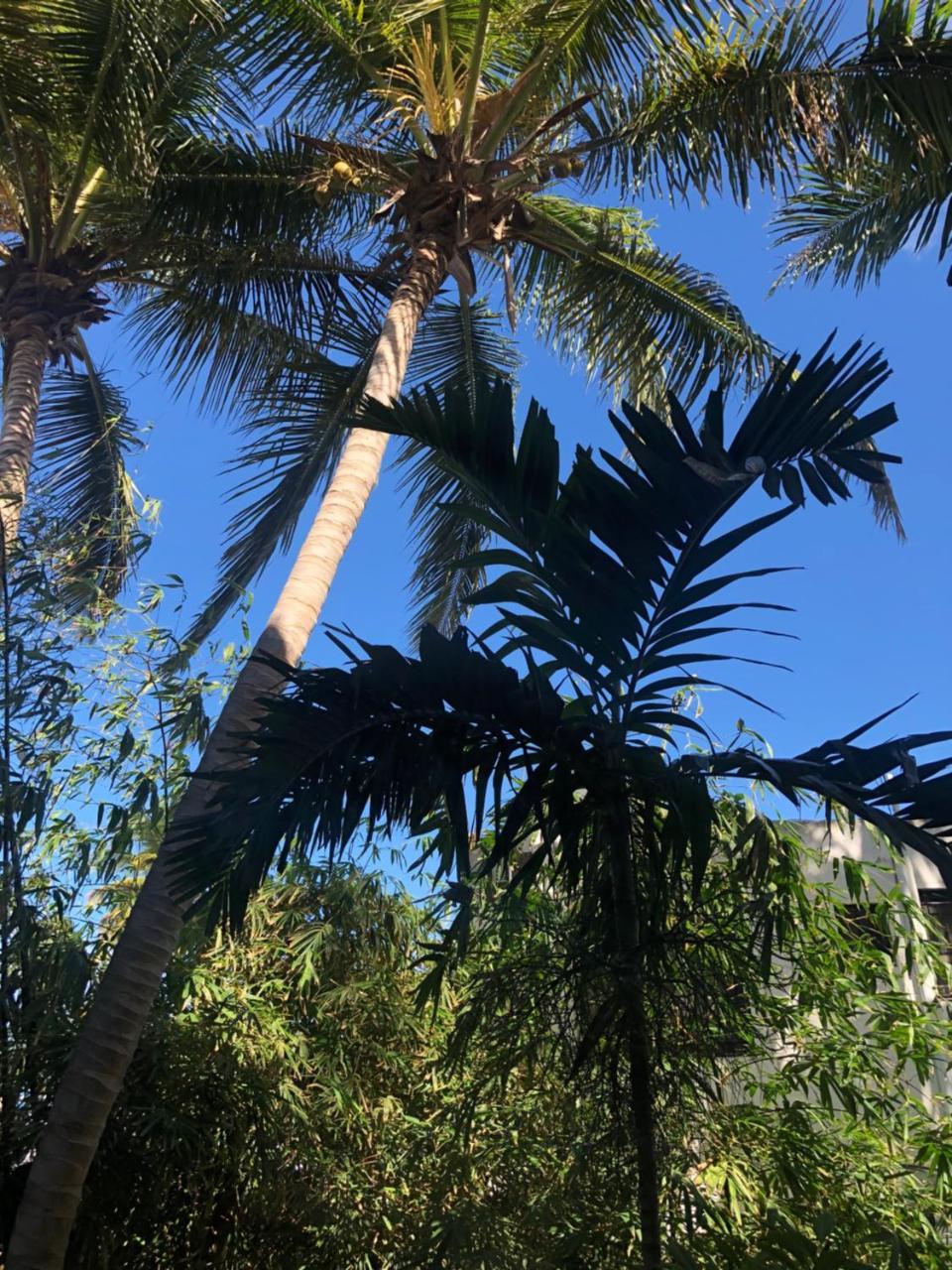 Villa Florencia Bavaro Punta Cana Eksteriør bilde